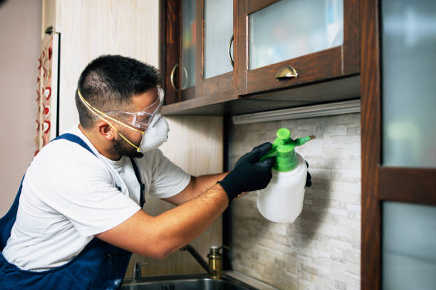 Best Mosquito Control Services  in Holiday Valley, OH