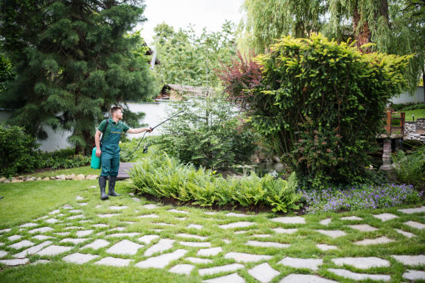Best Local Pest Control Services  in Holiday Valley, OH