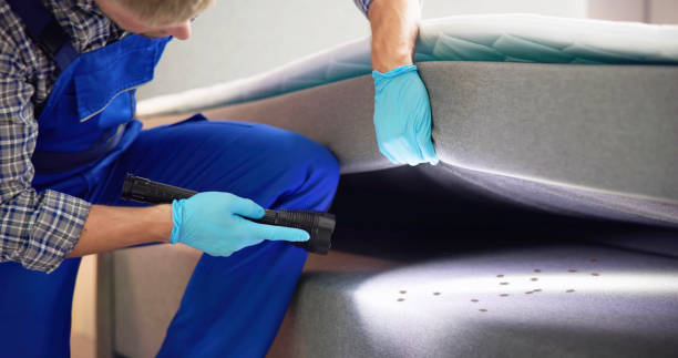 Best Exterminator Services  in Holiday Valley, OH