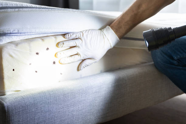 Best Pest Prevention Services  in Holiday Valley, OH