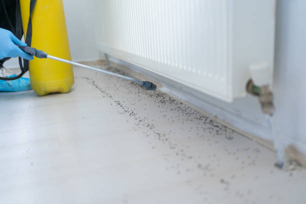 Best Affordable Pest Control Services  in Holiday Valley, OH